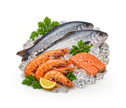 SEAFOOD